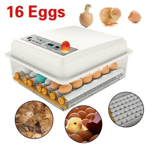 Dreamburgh Farm Hatchery Incubator Brooder Machine Egg Hatchers Chicken Automatic Eggs Incubator with Turner Bird Quail Brooder